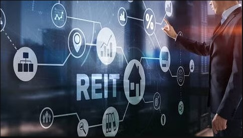 REIT Association launches DBIs to provide detailed information to investors